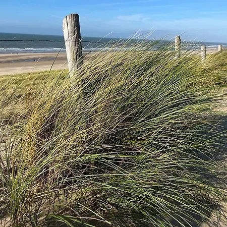 Casa de Férias Heerlijk Vakantiewoning Aan De Kust 26 - Slechts 100 Meter Van Het Strand!