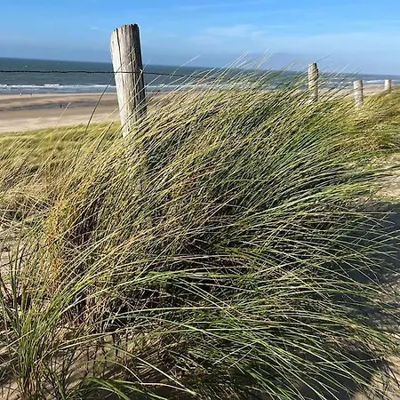 Casa de Férias Heerlijk Vakantiewoning Aan De Kust 26 - Slechts 100 Meter Van Het Strand!